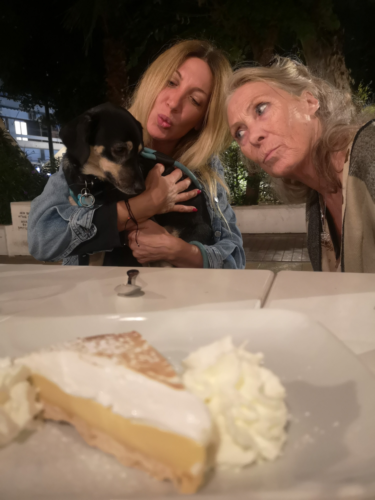 Blogs 2023 (247 of 299)