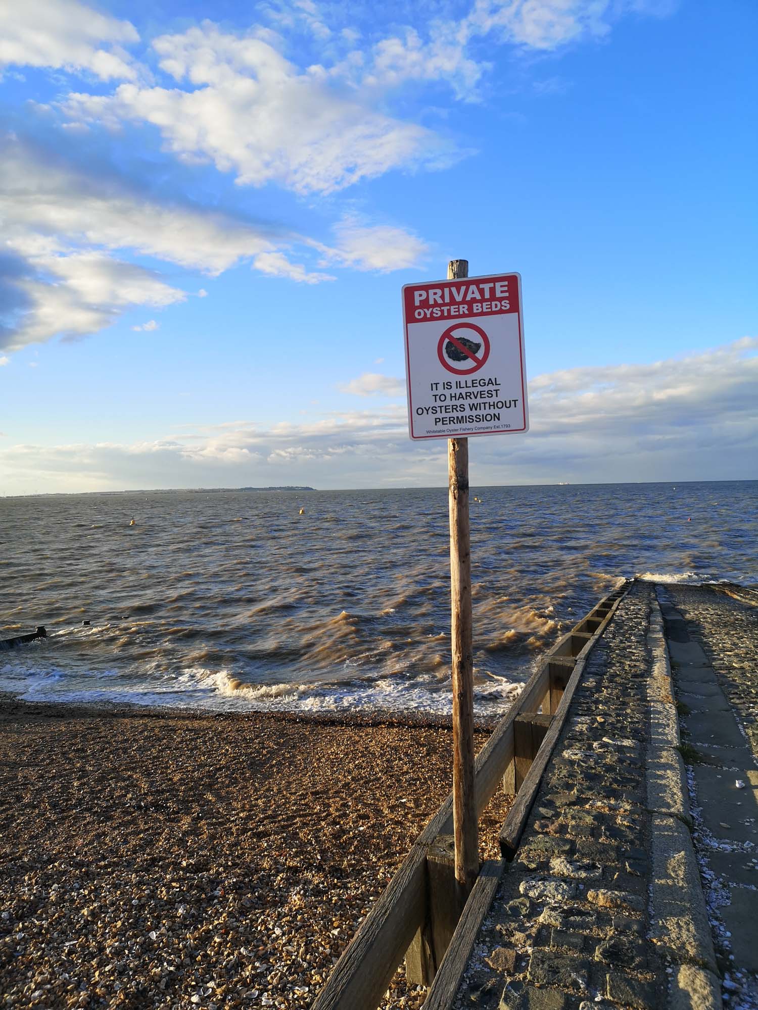 Blogs 2023 (259 of 299)