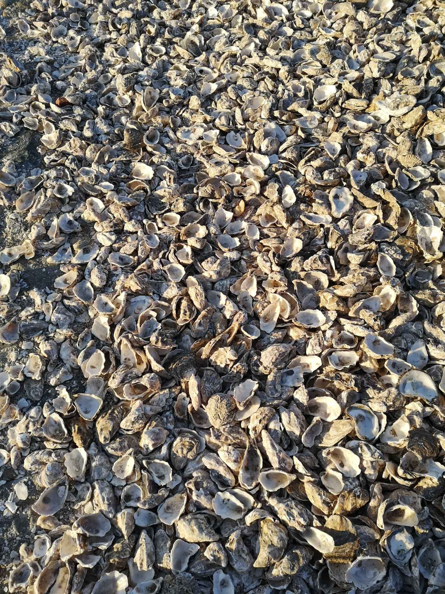 Blogs 2023 (260 of 299)