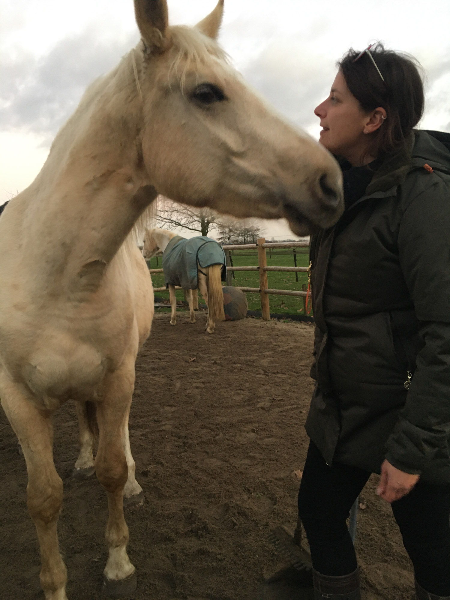 Blogs 2023 (27 of 299)