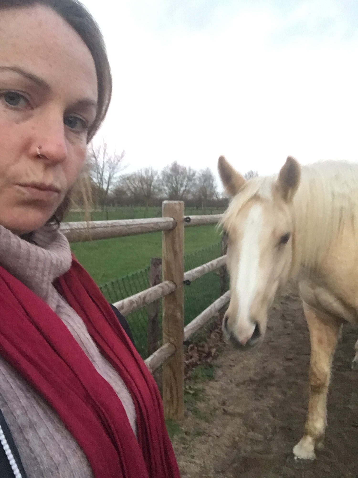 Blogs 2023 (28 of 299)