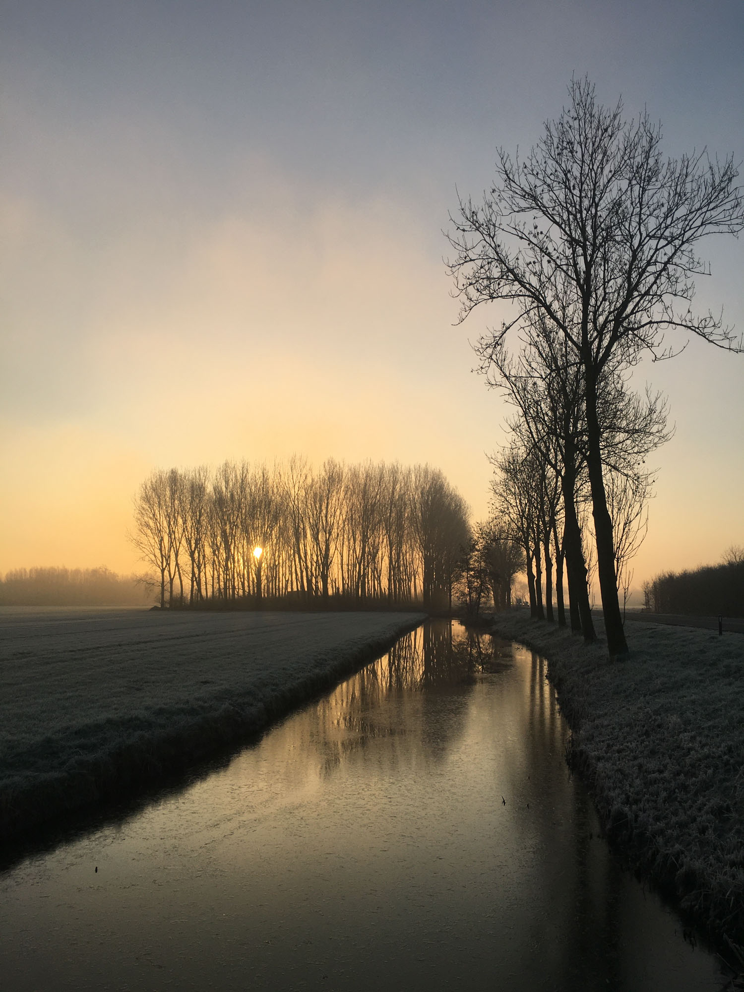 Blogs 2023 (29 of 299)