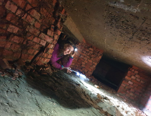 Bat Forts in Belgium