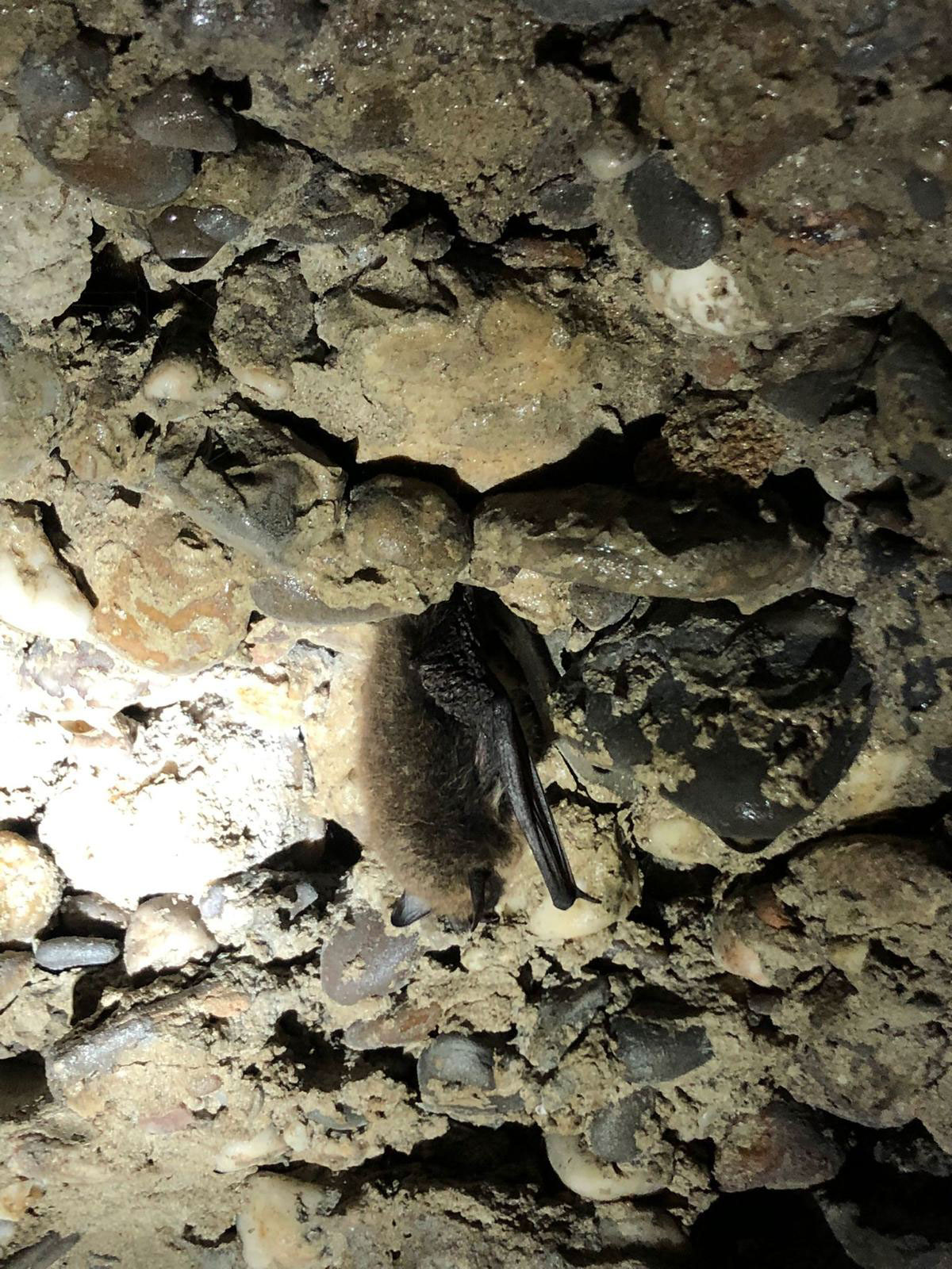 Blogs 2023 (43 of 299)