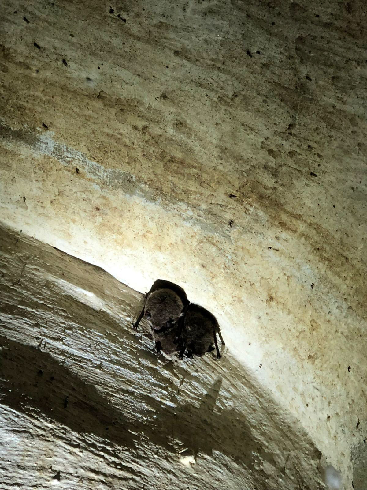 Blogs 2023 (45 of 299)