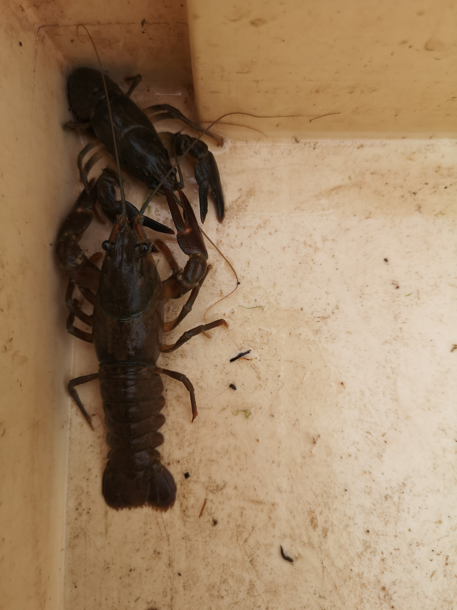 Blogs 2023 (79 of 299)