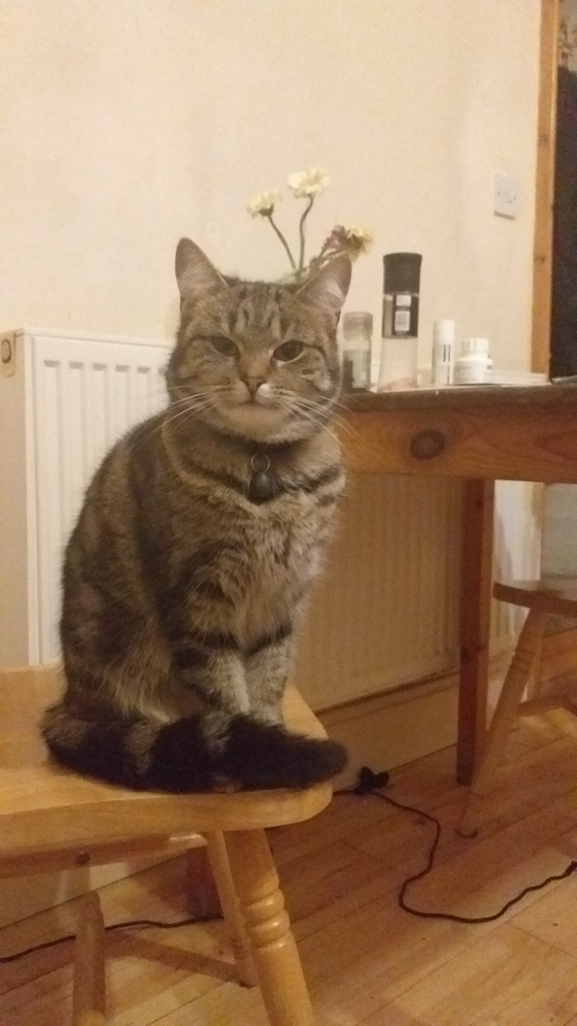 Blogs 2023 (8 of 299)